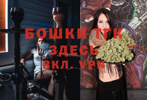 молекула духа Арсеньев