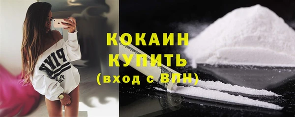 молекула духа Арсеньев