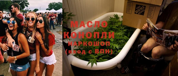 молекула духа Арсеньев