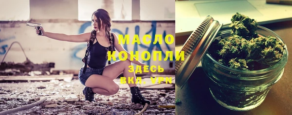молекула духа Арсеньев