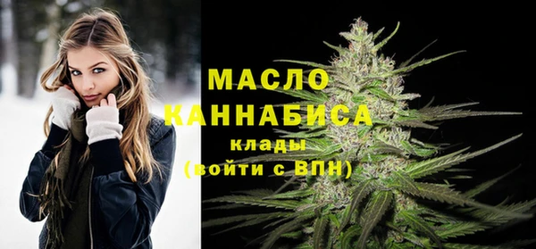 молекула духа Арсеньев