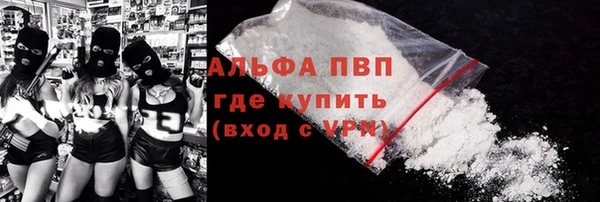 молекула духа Арсеньев